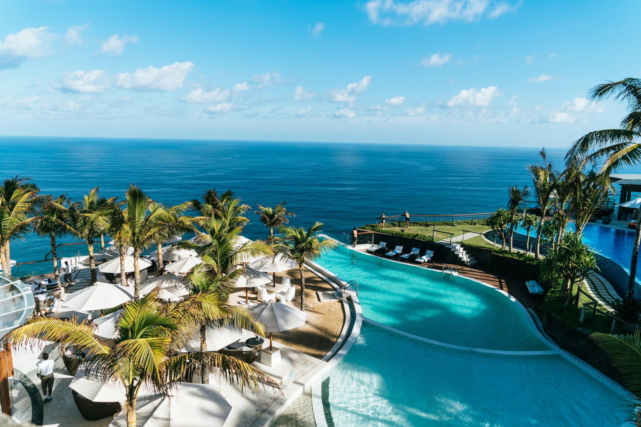 Elegant resort swimming pool surrounded by palms